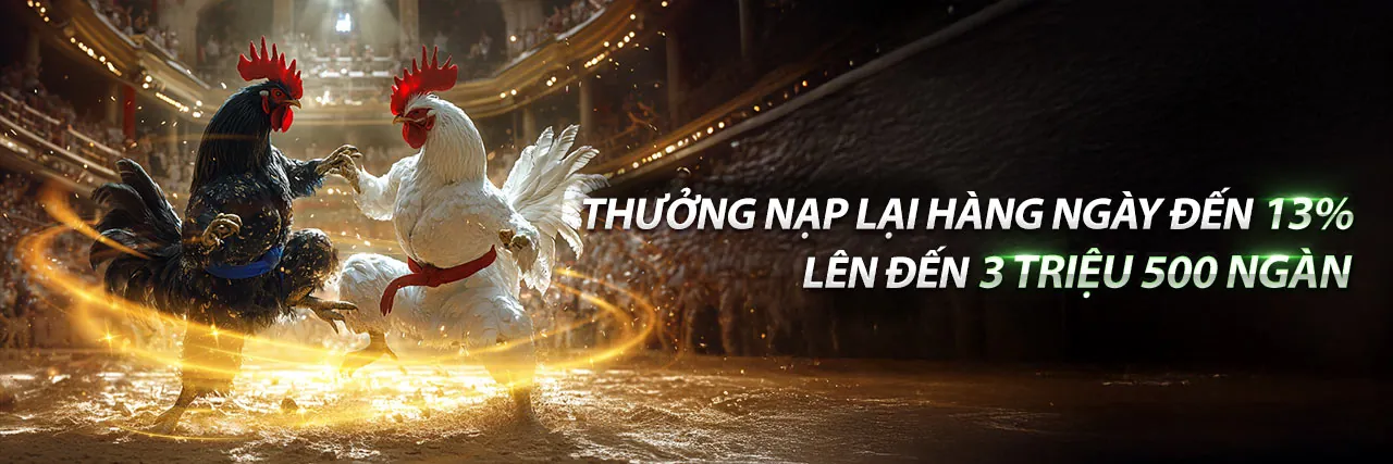 Đá gà trực tuyến MCW18 Link Vào 2026